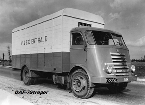 DAF-7Streper