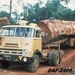 DAF-2400