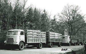 DAF