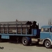 DAF-2000DO