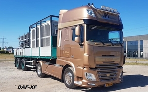 DAF-XF