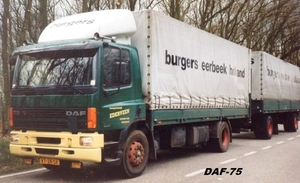 DAF-75