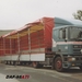 DAF-95ATI