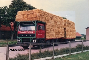 DAF-2800