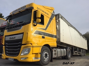 DAF-XF