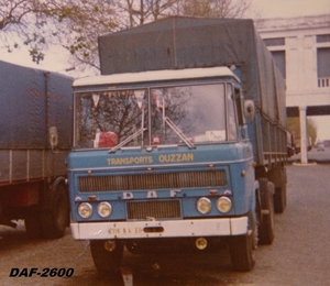 DAF-2600