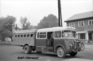 DAF-7Streper