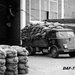 DAF-7Streper