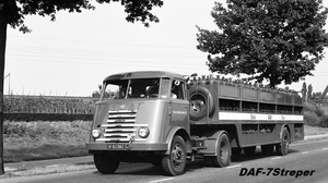 DAF-7Streper