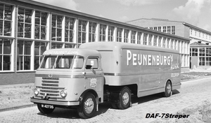 DAF-7Streper