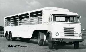 DAF-7Streper