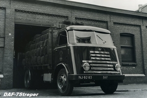 DAF-7Streper