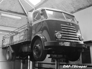 DAF-7Streper