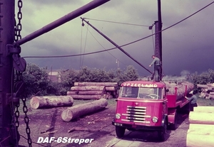 DAF-7Streper