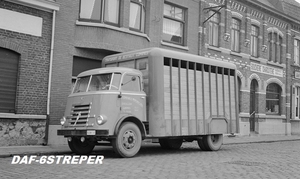 DAF-6Streper