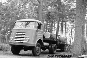 DAF-7Streper