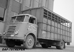 DAF-7Streper