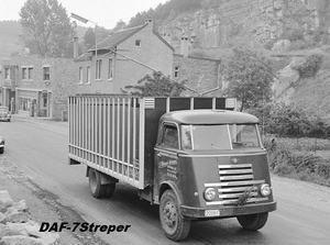 DAF-7Streper