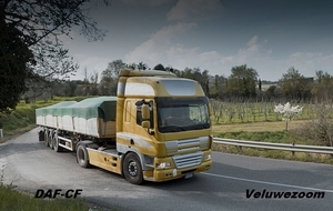 DAF-CF