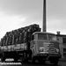 DAF-7Streper