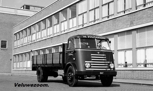 DAF-7Streper