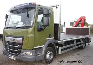 DAF-LF