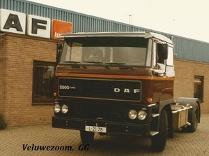 DAF-2800