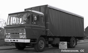 DAF-2600