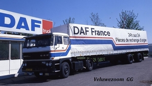 DAF-2800