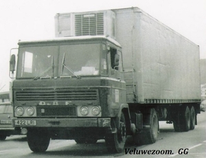 DAF-2600