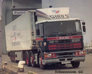 DAF-95ATI