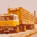 DAF-2200