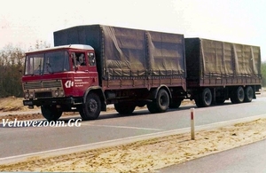 DAF-2600