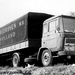 DAF-2600