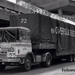 DAF-2600