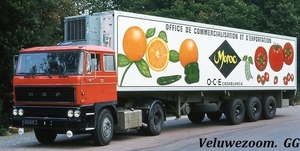 DAF-2800