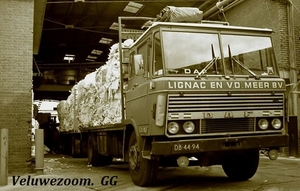 DAF-2600