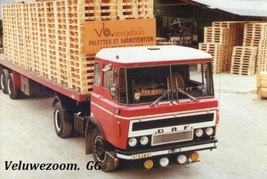 DAF-2600