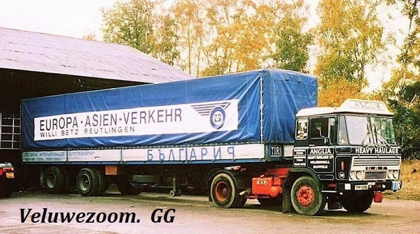 DAF-2600