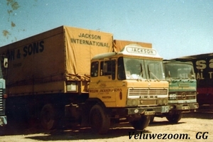 DAF-2600