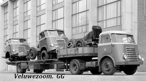 DAF-7Streper