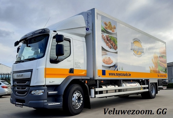 DAF-LF