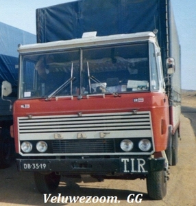 DAF-2600