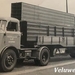 DAF-6Streper