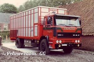 DAF-2100