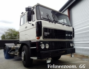 DAF-2800