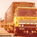 DAF-2600