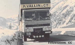 DAF-2600