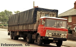 DAF-2600