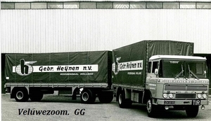 DAF-2600